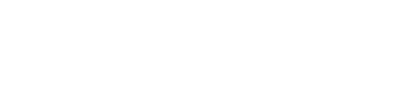 BRI Life