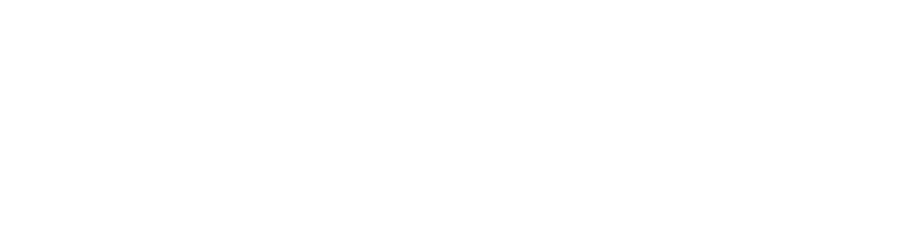 Bisnis Indonesia