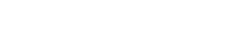 Lion Parcel